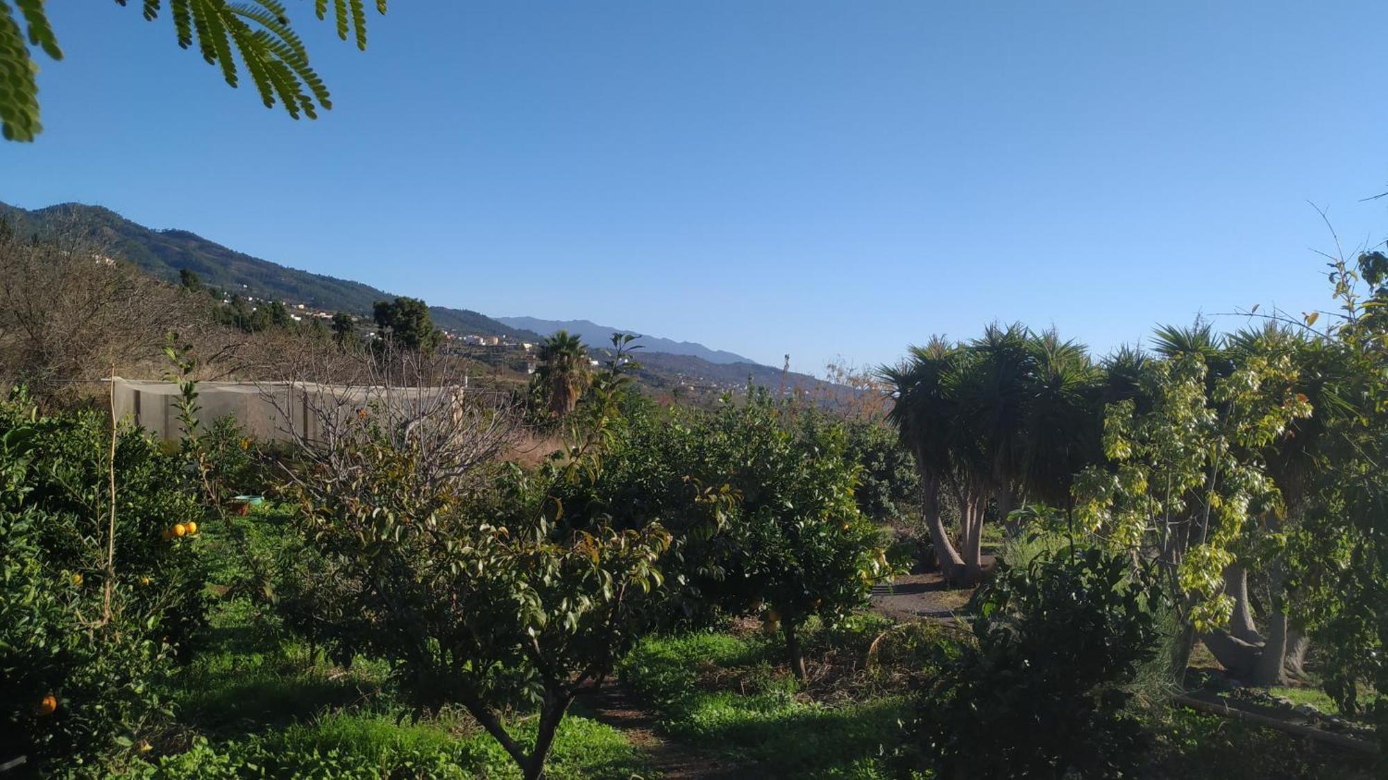 Finca Panorama Tijarafe Exterior foto