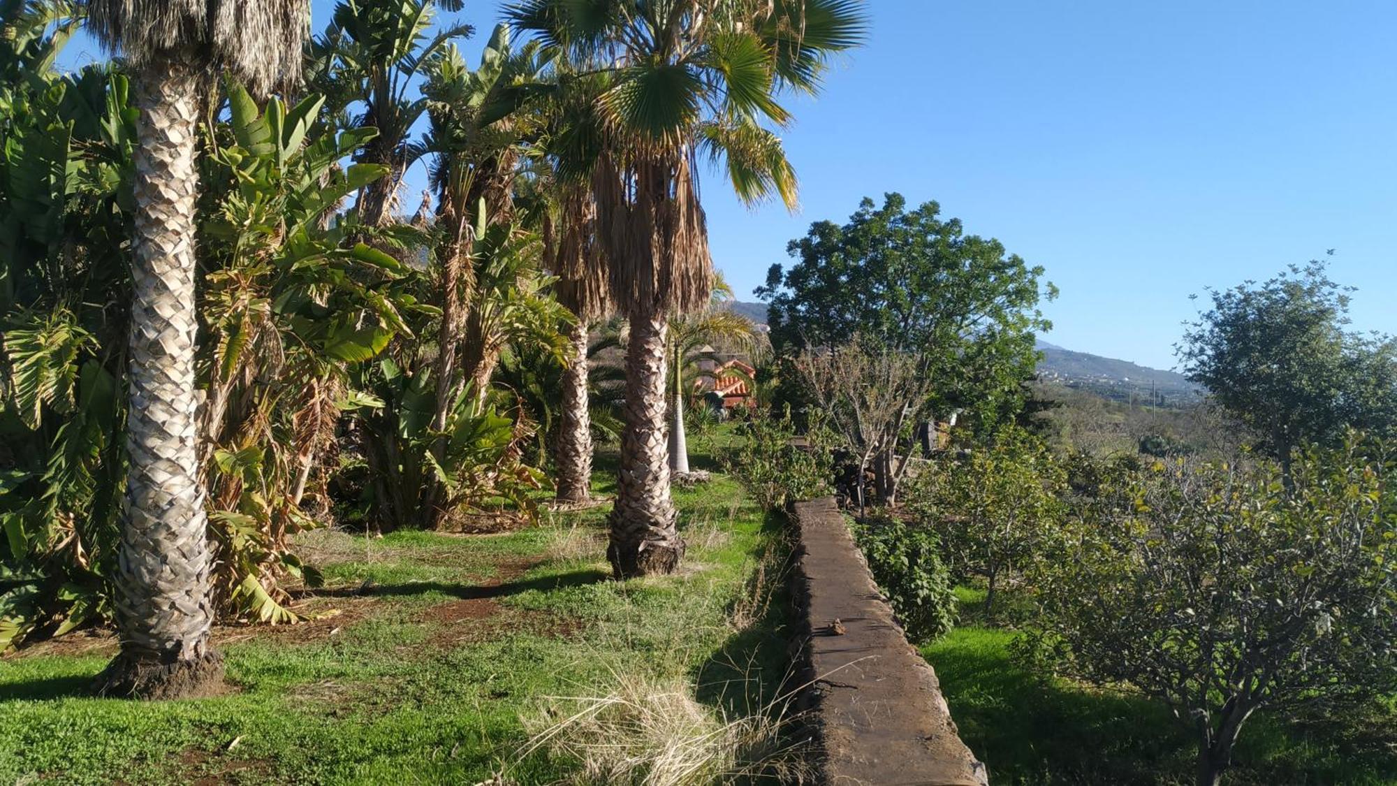 Finca Panorama Tijarafe Exterior foto